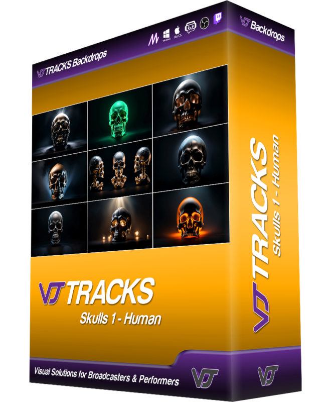VJ Tracks Skulls 1 Human